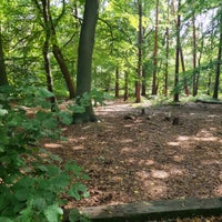 Photo taken at Thorndon Country Park by H on 7/23/2022