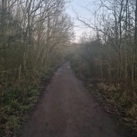 Photo taken at Thorndon Country Park by H on 1/9/2021