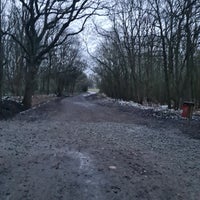 Photo taken at Thorndon Country Park by H on 2/14/2021