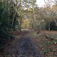 Photo taken at Petts Wood Woods by Glyn S. on 11/13/2012