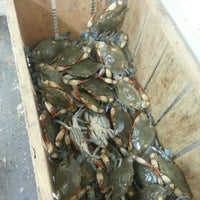 Oceanic Supermarket Supermarket In Tampa