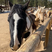 Photo taken at Jackson Stables by Sven on 10/21/2019