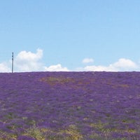 Photo taken at Орловка by Алина С. on 6/25/2017