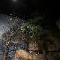 Photo taken at Fernbank Museum of Natural History by Lelio Y. on 12/29/2021