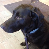 greenfield veterinary