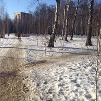 Photo taken at Городской Парк &amp;quot;Березовая Роща&amp;quot; by Anastasia on 3/26/2016