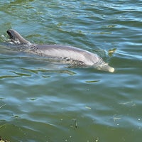 Photo taken at Dolphin Research Center by Aaron T. on 1/1/2023