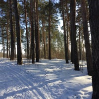 Photo taken at лес за ипподромом by Алеся Е. on 2/19/2016