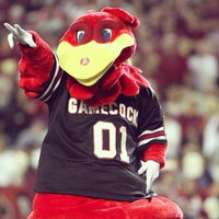 University of South Carolina - University of South Carolina - 15 tips