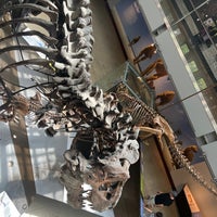 Photo taken at Natural History Museum of Los Angeles County by Nutpaphat Y. on 7/14/2023