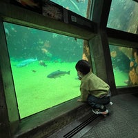 Photo taken at Seattle Aquarium by Onur K. on 12/30/2023