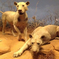 Photo taken at The Man-Eaters Of Tsavo by Josh B. on 9/20/2012