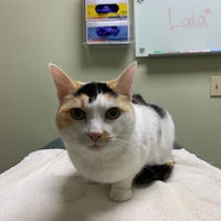 VCA A Breed Apart Animal Hospital 777 S Arroyo Pkwy Ste 106