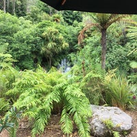 1/20/2019에 Simone ..님이 Rainbow Springs Kiwi Wildlife Park에서 찍은 사진