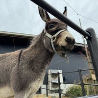 Photo taken at Yagiyama Zoological Park by わさビ on 2/5/2024