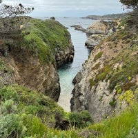 Photo taken at Point Lobos State Reserve by abren m. on 4/20/2024