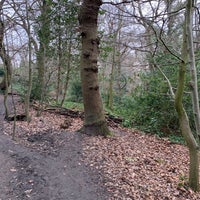 Photo taken at Queen&amp;#39;s Wood by Joseph P. on 1/21/2019