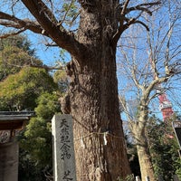 Photo taken at Shiba Toshogu by みょう on 1/30/2024