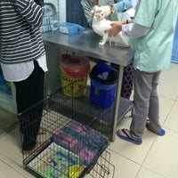 Pet Paradise Clinic - 3 tips from 381 visitors