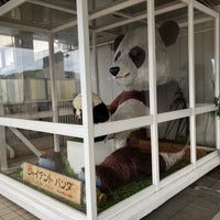 Photo taken at Giant panda by 駆流＆ポキミ on 10/29/2023