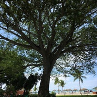 birkenstock habana 38