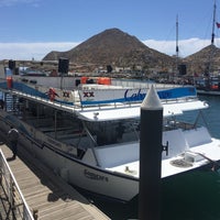 Photo taken at Cabo Escape Tours by Brian G. on 4/4/2017