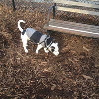 Photo taken at Tom&amp;#39;s Dog Run by Cindy A. on 12/24/2012