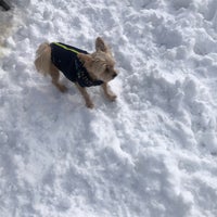 Photo taken at Tom&amp;#39;s Dog Run by Cindy A. on 2/3/2021
