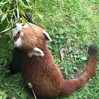 Foto tomada en Wellington Zoo  por Tomatoe el 1/11/2017