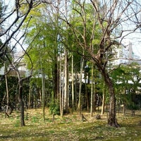 Photo taken at はけの森緑地 ２ by Satoshi O. on 12/23/2012