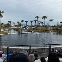 Das Foto wurde bei Gulfarium Marine Adventure Park von Doree T. am 3/14/2024 aufgenommen