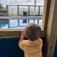 Photo taken at Gulfarium Marine Adventure Park by Doree T. on 3/14/2024