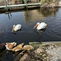 Das Foto wurde bei Gulfarium Marine Adventure Park von Doree T. am 3/14/2024 aufgenommen