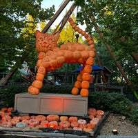 Photo taken at Silver Dollar City by Doree T. on 9/30/2022