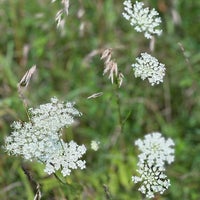 Photo taken at Maybury State Park by sarcasm on 8/13/2023