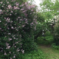 Photo taken at Сад непрерывного цветения by Marina M. on 5/30/2015