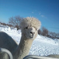 えこりん村 4 Tips From 808 Visitors