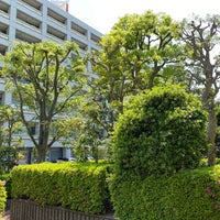 放送大学 千葉学習センター 2 Tavsiye 放送大学 千葉学習センター 2 Tavsiye