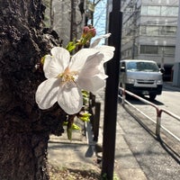 Photo taken at 龍閑児童公園 by owl on 3/15/2023