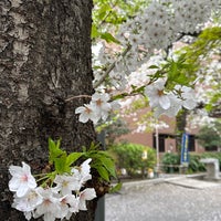 Photo taken at 龍閑児童公園 by owl on 4/5/2024