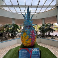 2/2/2024 tarihinde Tim S.ziyaretçi tarafından Caribe Hilton'de çekilen fotoğraf