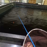釣り堀太郎 Fishing Spot In 港北区 釣り堀太郎 Fishing Spot In 港北区