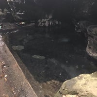 壁湯天然洞窟温泉 旅館 福元屋 Fonte Termal
