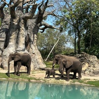 Photo taken at Kilimanjaro Safaris by Kerry 🐶 F. on 3/10/2024