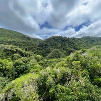 Photo taken at Zealandia Eco-Sanctuary by Natasha R. on 1/19/2024