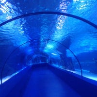 3/30/2013에 Aylin A.님이 Antalya Aquarium에서 찍은 사진