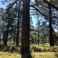 Photo taken at Flagstaff Extreme Adventure Course by Jonathan P. on 7/11/2020