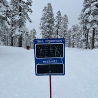 2/26/2023にJane A.がDodge Ridge Ski Resortで撮った写真
