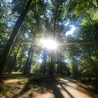 Photo taken at Forêt de Soignes / Zoniënwoud by Olivier V. on 6/11/2023