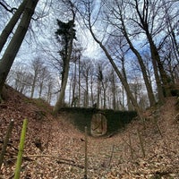 Photo taken at Forêt de Soignes / Zoniënwoud by Olivier V. on 3/4/2023
